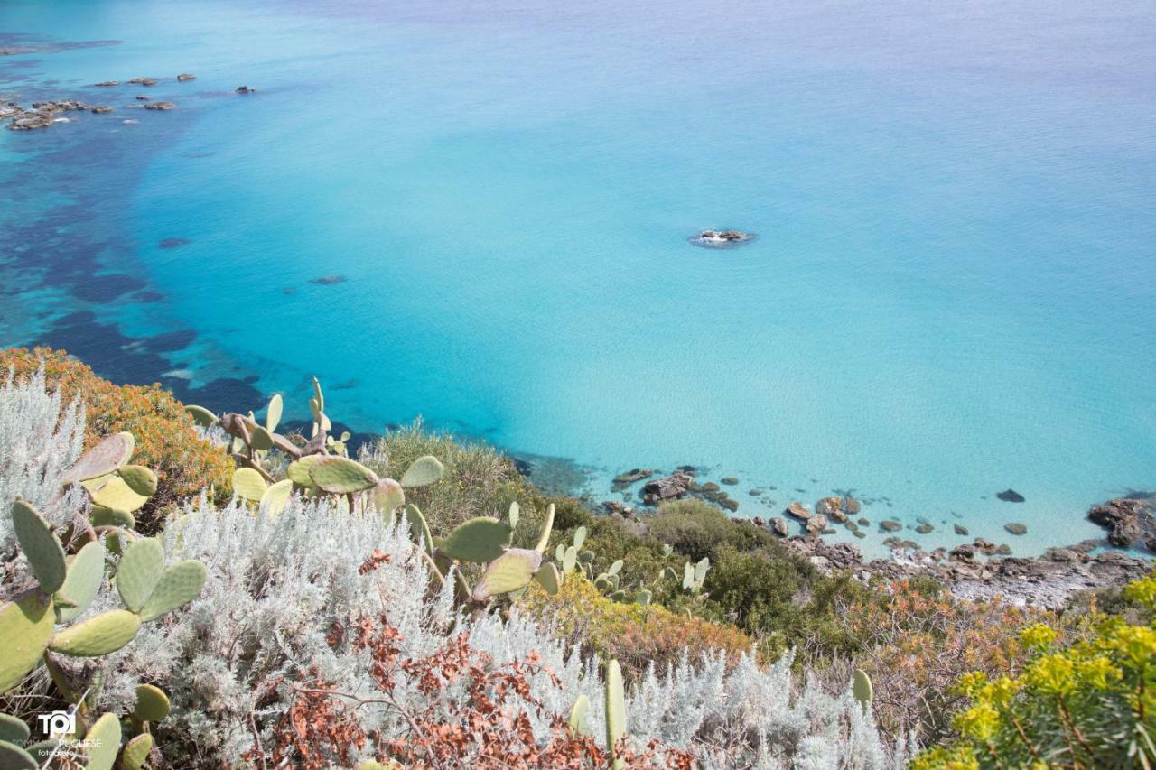 Villa Alice Capo Vaticano Luaran gambar